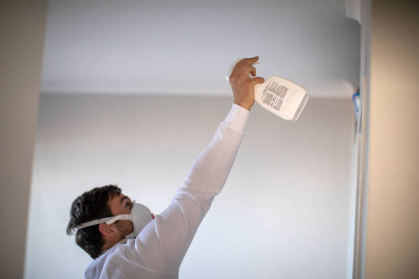 Best Mold Removal Company Near Me  in Monon, IN
