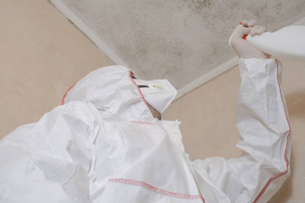 Best Mold Testing  in Monon, IN
