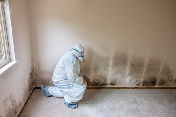 Crawl Space Mold Removal in Monon, IN